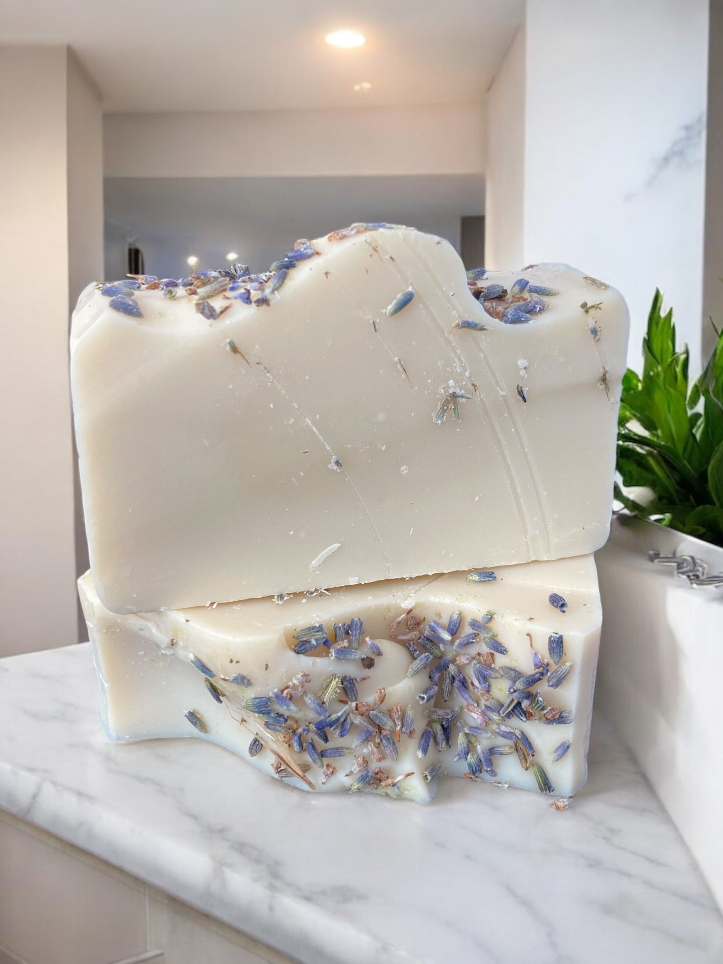 Mega Bath Bar Bundle